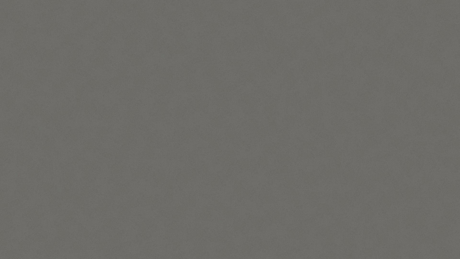 Gris Expo